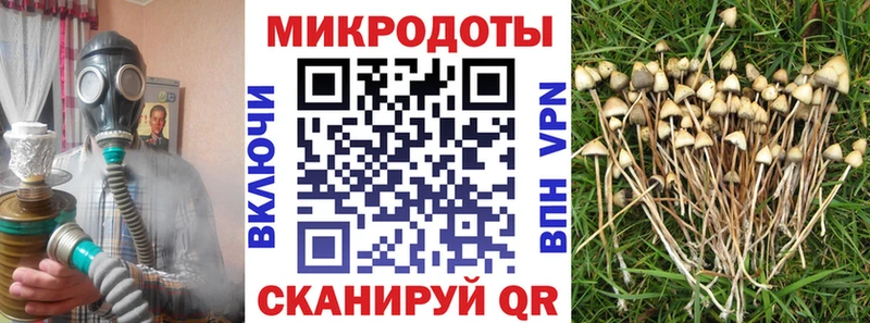 Галлюциногенные грибы прущие грибы  где купить наркоту  Балтийск 